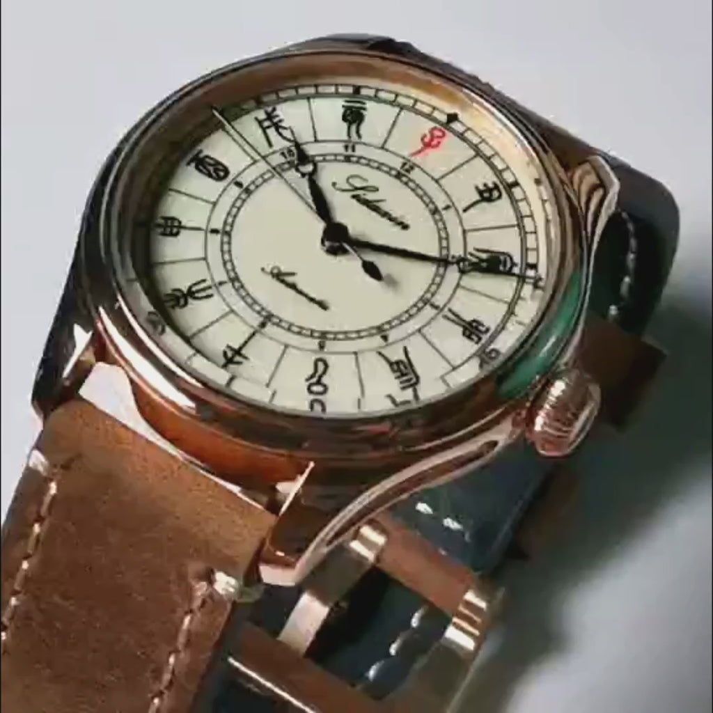 Automatic mechanical stainless steel /bronze diving watch